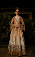 Champagne Embroidered Anarkali Gown in Champagne — view 1