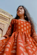 Rangrez Rust Butti Gown in Rust — view 1